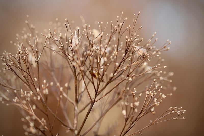 Planting Seeds